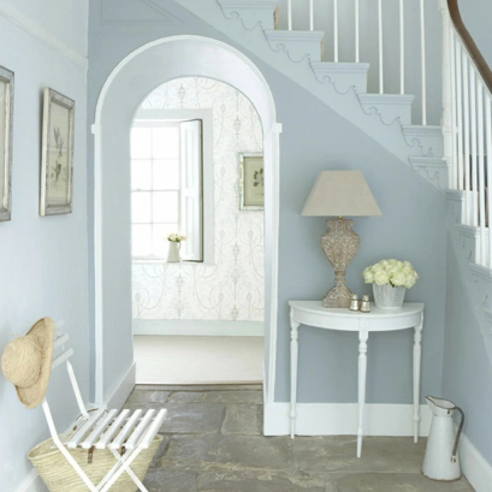 Traditional Oil Gloss
