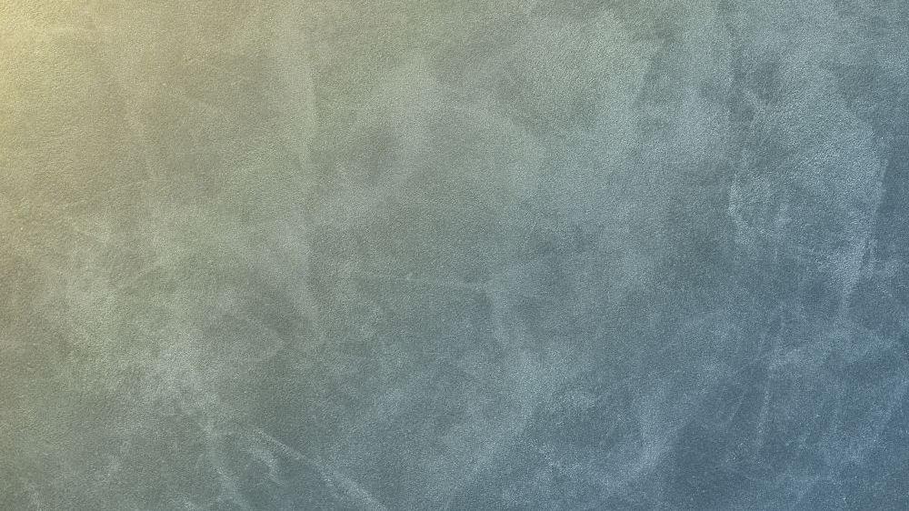 PL42 031