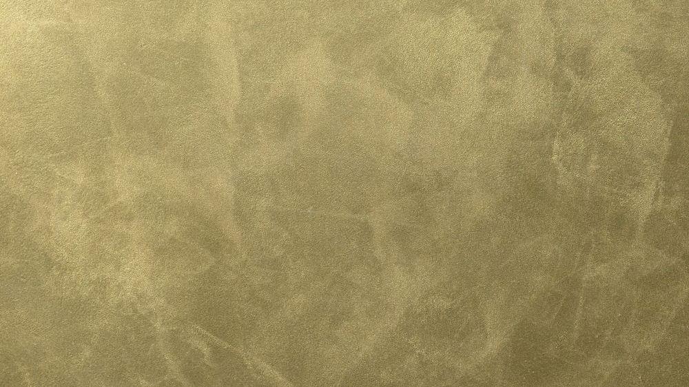 PL42 026