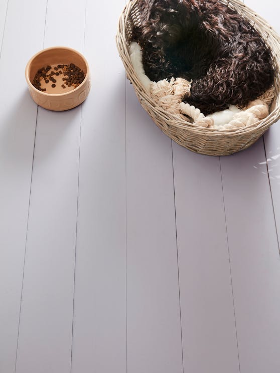 Intelligent Floor Paint