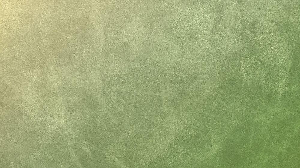 PL42 032