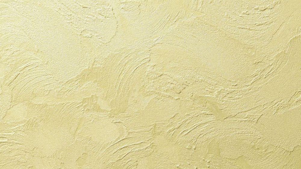 ST51 029