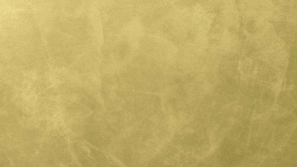 PL42 004
