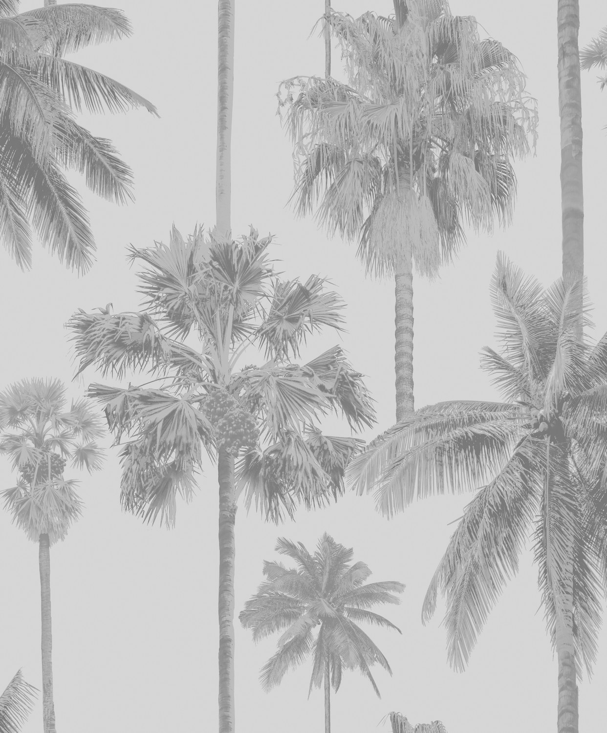 Malibu Art. ML01415
