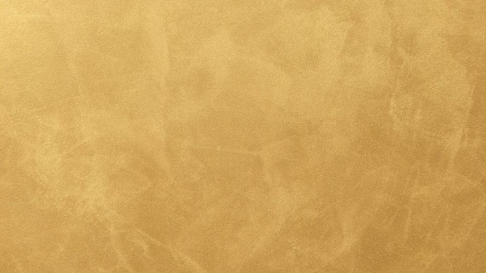 PL42 008