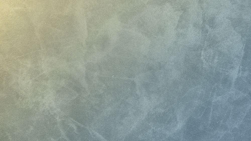 PL42 029