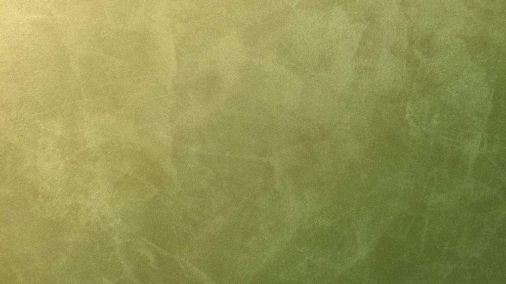 PL42 036