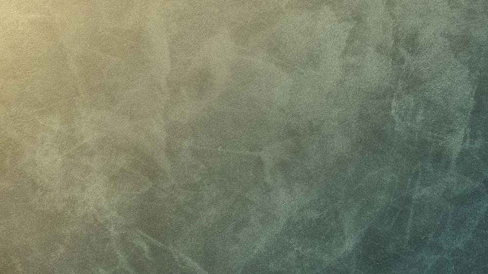 PL42 033
