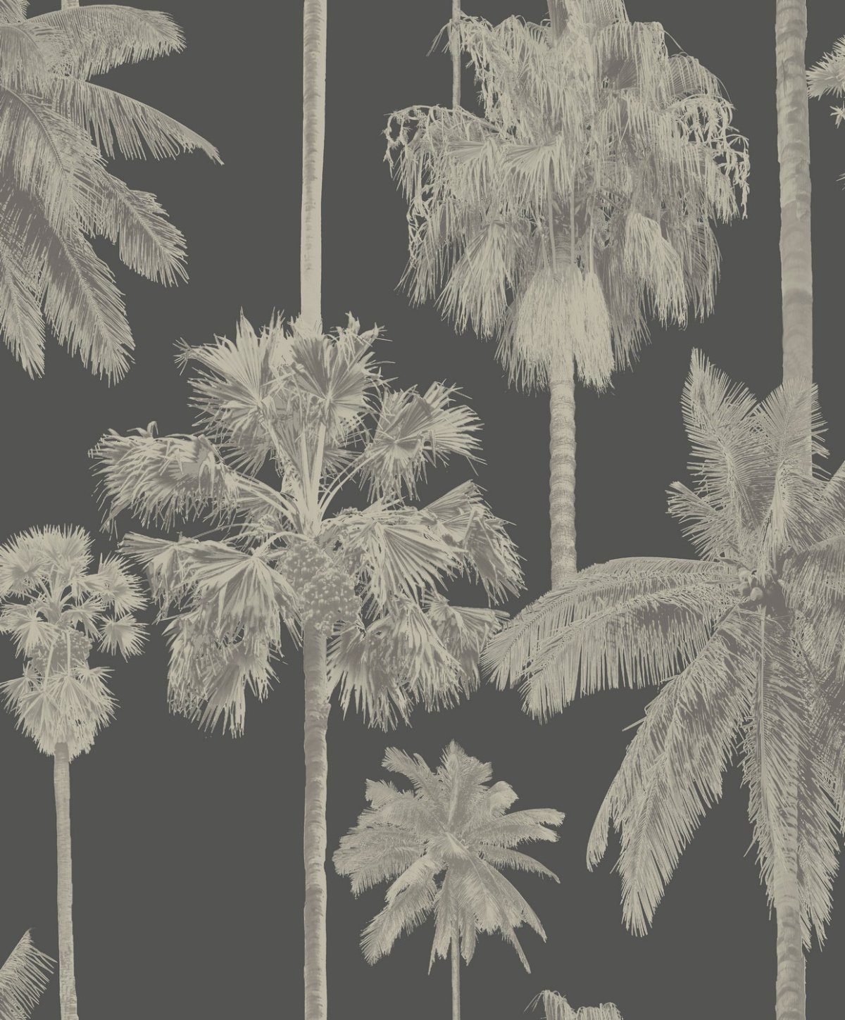 Malibu Art. ML01416